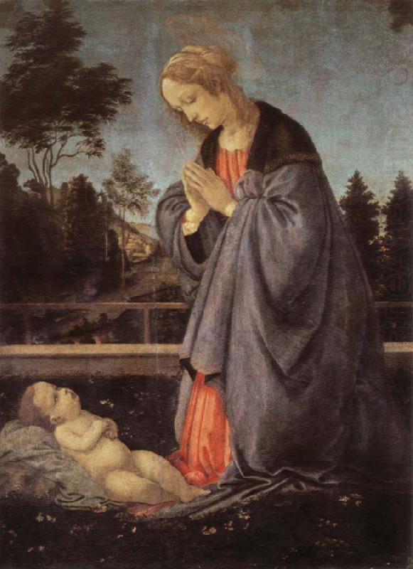 adoration of the child, Filippino Lippi